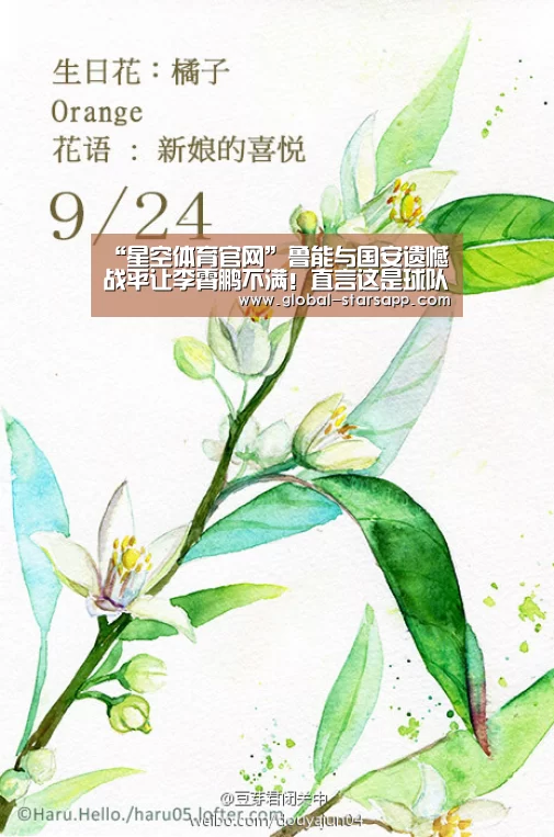 星空体育官网