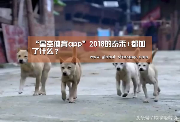 “星空体育app”2018的泰禾+都加了什么?(图4) 星空体育app